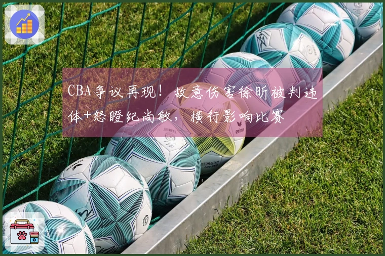 CBA争议再现！故意伤害徐昕被判违体+怒瞪纪尚敏，横行影响比赛