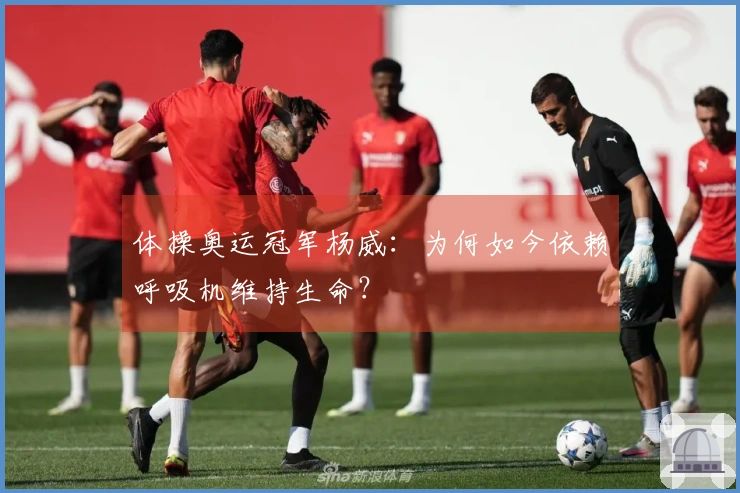 体操奥运冠军杨威：为何如今依赖呼吸机维持生命？